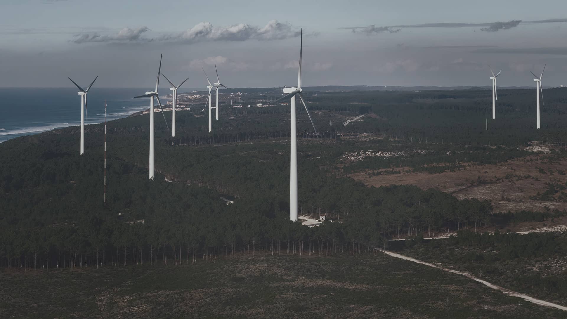 Huella de carbono: qué es y cómo puedes reducirla