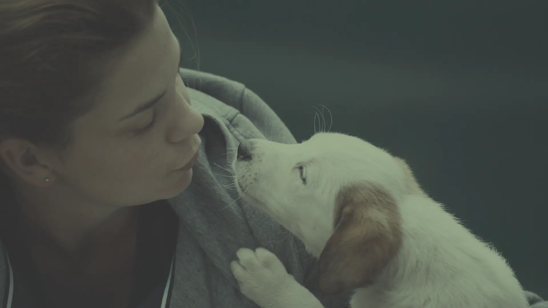 chica acariciando y dándole mimos a un perro que cuida